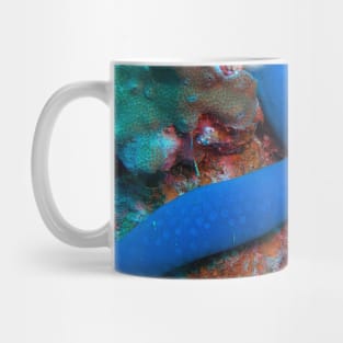 Sea Star Mug